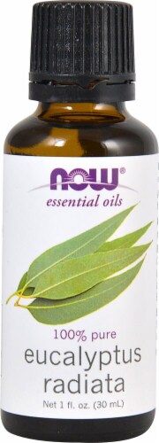 NOW®   Essential Oils Eucalyptus Radiata Oil Perspective: front