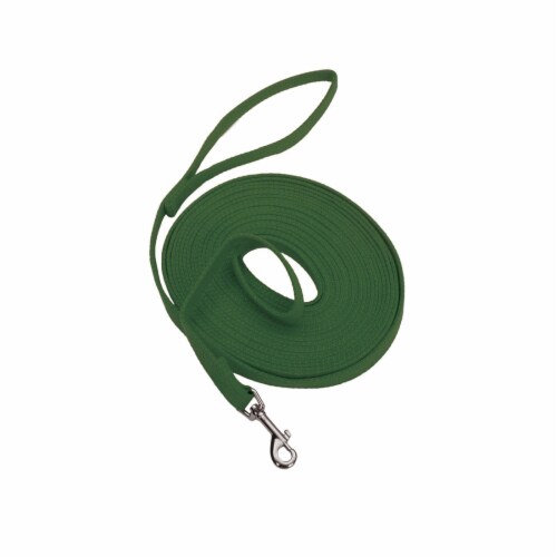 Alliance 6-Inch Green Cotton Web Training Lead Perspective: front