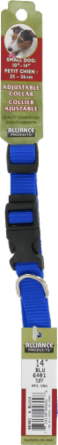 Alliance Blue Small Dog Collar Perspective: front