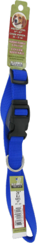 Alliance Blue Medium Dog Collar Perspective: front