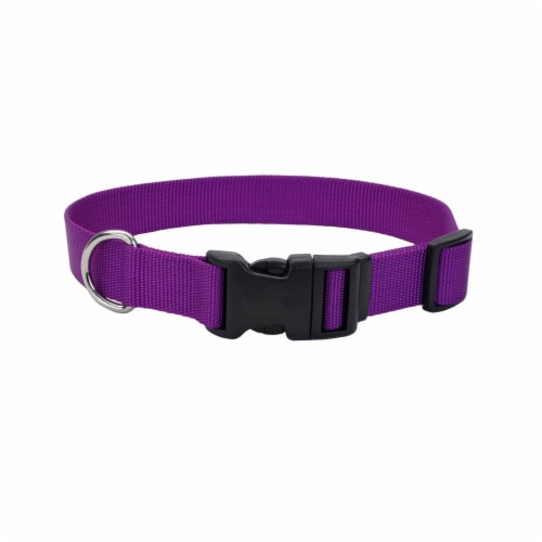 Alliance Tuff Dog Collar - Purple Perspective: front