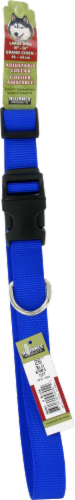 Alliance Blue Large Dog Collar Perspective: front