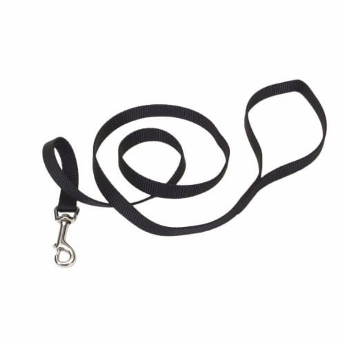 Alliance Leash - 6" Black Perspective: front