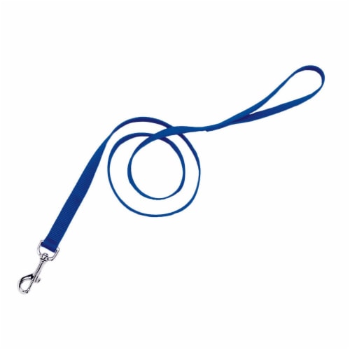 Alliance Leash - Blue Perspective: front