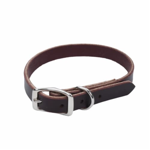 Alliance Leather Latigo Collar Perspective: front