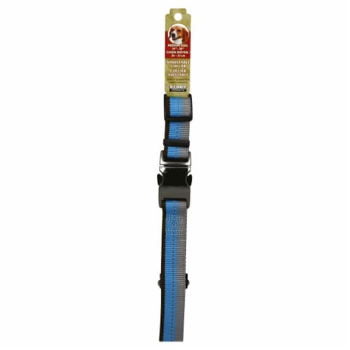 Alliance Blue Lagoon Medium Dog Collar Perspective: front