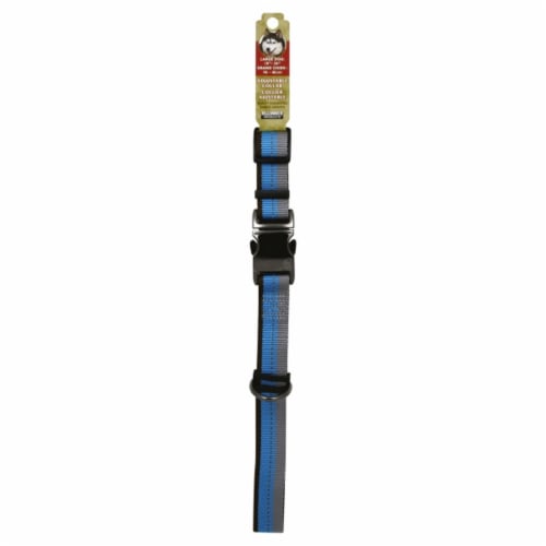 Alliance Blue Lagoon Large Dog Collar Perspective: front
