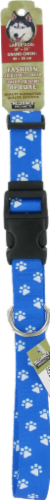 Alliance Large Blue Paw Print Collar Perspective: front
