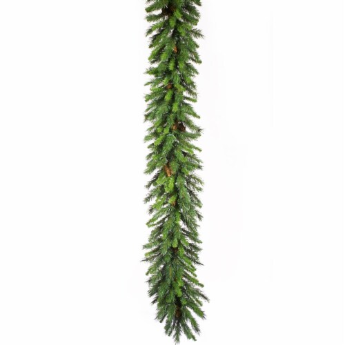Vickerman Cheyenne Pine Cone Artificial 50 Foot Unlit Holiday Christmas Garland Perspective: front