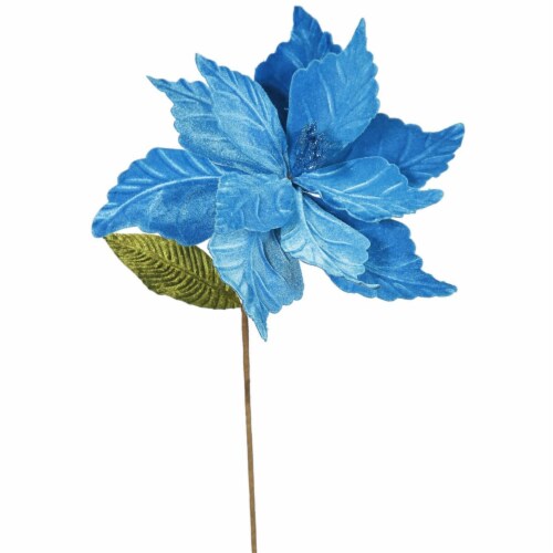 22  Turquoise Poinsettia 12  Flowr 6/Bag - QG162712 Perspective: front