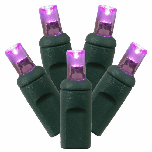 50Lt LED Purple/GW WA EC Set 1Pc 6 x25'L - X6G6506PBG Perspective: front