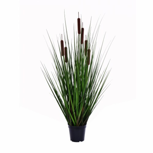 36  Grass with 6 Cattails Potted - TN170336 Perspective: front