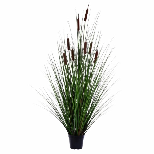 48  Grass with 8 Cattails Potted - TN170348 Perspective: front