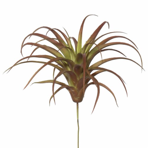 6.5  Tillandsia Pick (PK/3) - FE171701 Perspective: front