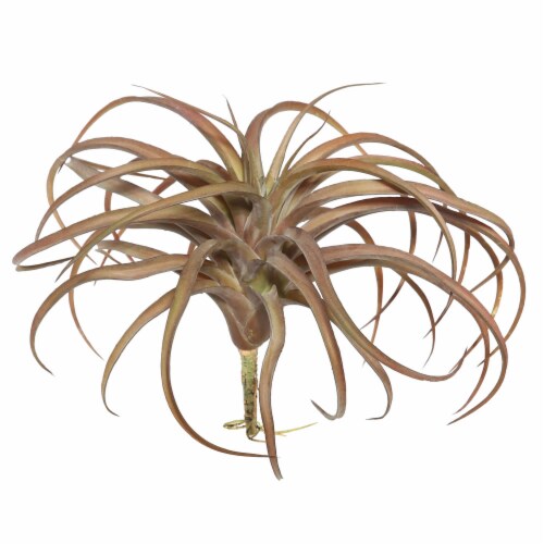 10.5  Red Tillandsia Pick - FE172001 Perspective: front