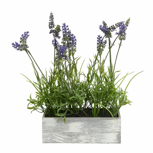 15 Lavender Plant in Wood Rectangle Pot - FE181101 Perspective: front