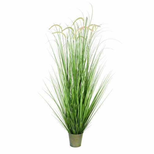 60  Green Cattail Grass In Iron Pot - TD190160 Perspective: front