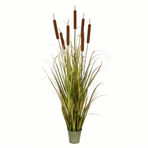 60  Green Cattail Grass In Iron Pot - TD190660 Perspective: front