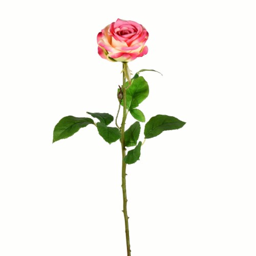26  Light Pink Rose Stem 6/pk - FA191379 Perspective: front