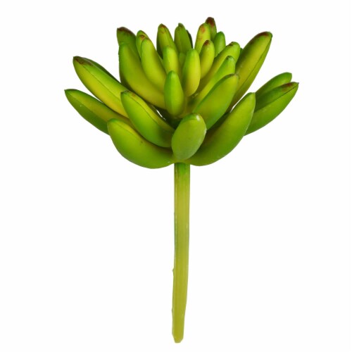 4  Green Succulent Pick 6/Pk - FO192504 Perspective: front