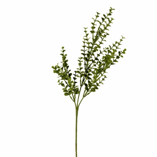 26  Green Eucalyptus Bush Pk/4 - FF190726 Perspective: front