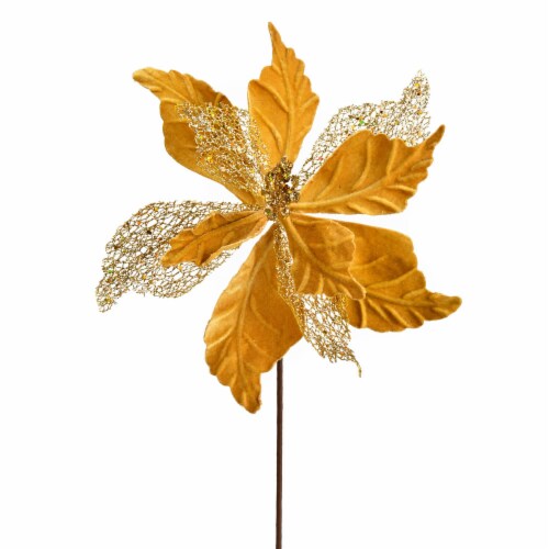 12 Gold Velvet Poinsettia Spray 6/Bag QG190808, 1 Kroger