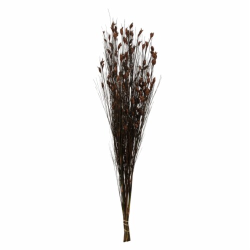 36-40  Bell Grass W/Brown Pod Bundle Perspective: front