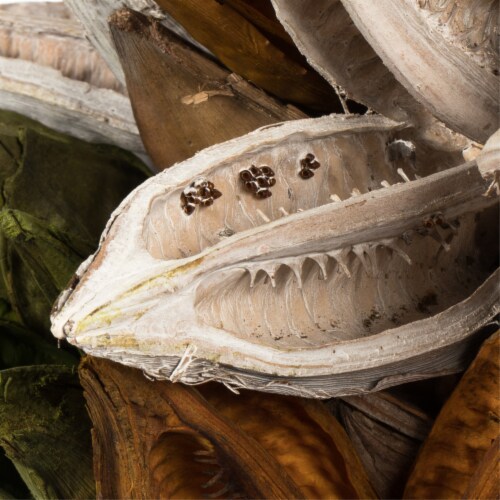 3-4  Assorted Sora Pods 25/Bulk Case Perspective: front