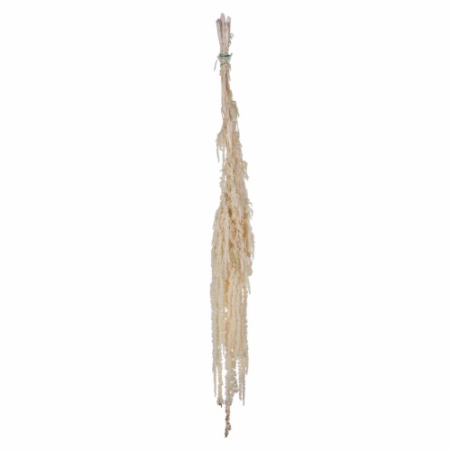 30  White Amaranthus Bundle 7Oz Perspective: front