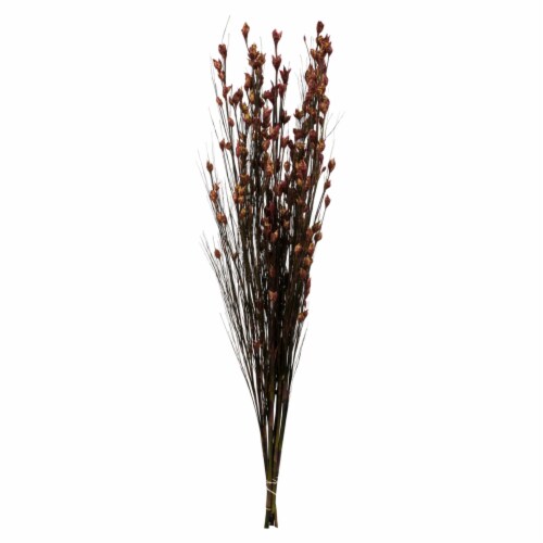 36-40  Bell Grass W/Merlot Pod 16Oz Perspective: front