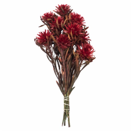8-20  Red Plumosum Bundle - 13 Heads Perspective: front