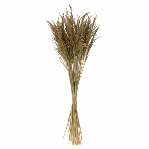 36 Natural Congo Grass 16Oz Perspective: front