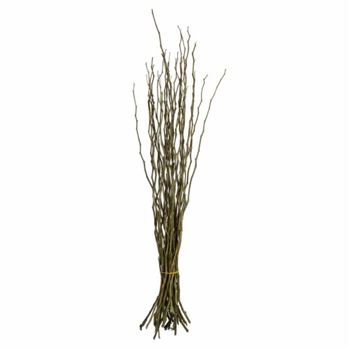 35-40 Basil Moneta Branches 16Oz Perspective: front