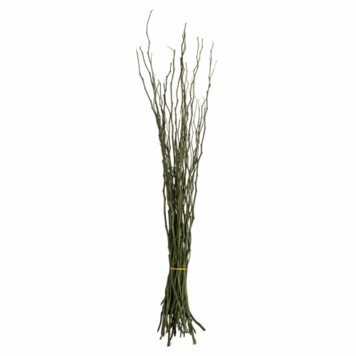 35-40 Green Moneta Branches 16Oz Perspective: front
