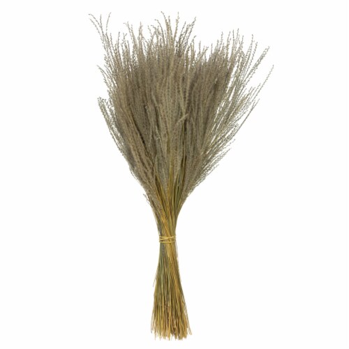14-20 Natural Snowdrop Grass 9Oz Perspective: front