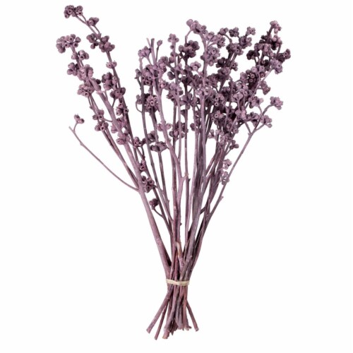 Vickerman H1RGM575 13 x 1-3 in. Red Gum Brombeer Frosted Bunch - 14 Piece Perspective: front