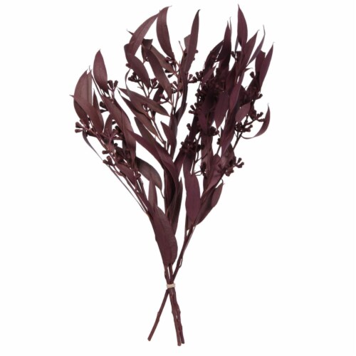 Vickerman H1AMB750 8 in. Amber Fruit Foliage, Brombeer - 3.5 oz, 1 ...