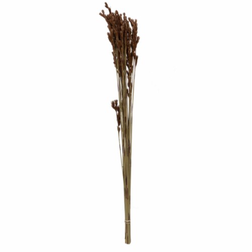 Vickerman H1THR000 33 x 5 in. 3.5 oz Thatch Bunch Reed, Natural Perspective: front