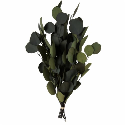 18-20 X8 Eucalyptus Pop Green 3.5Oz Bu Perspective: front