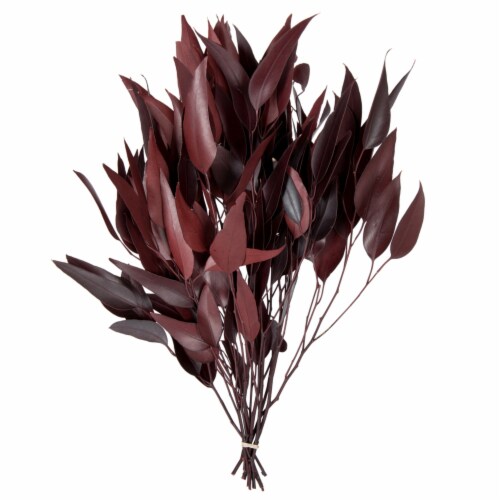 Vickerman H1WIL475 18-20 x 8 in. Eucalyptus Willow Red Bunch, 5-6 oz Perspective: front