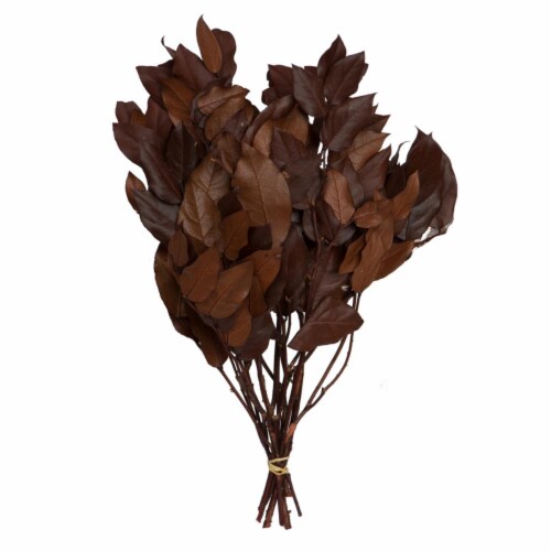 Vickerman H4SAL780 4 oz 16 to 22 in. Dried Salal Artificial Flowers Bunch, Copper Perspective: front