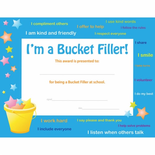 Flip Side FLPUS201 Bucket Filler Award - Pack of 30 Perspective: front