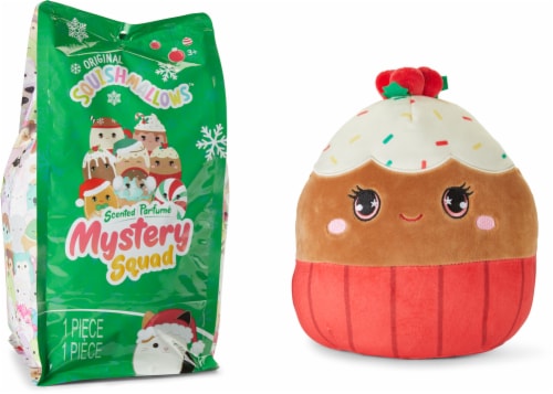 Squishmallows Mystery Squad Plush Perspective: front