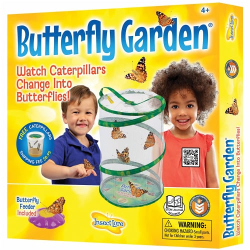 Insect Lore Original Butterfly Garden Growing Kit Perspective: front
