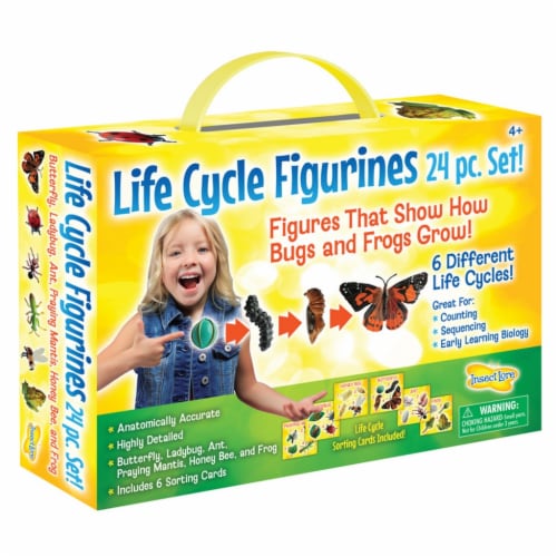 Life Cycle Figurines Set, 24 Pieces Perspective: front