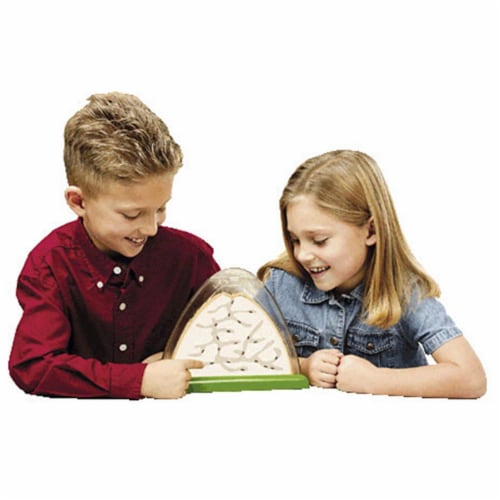 Insect Lore Ilp5510 Ant Hill-Double-Sided Viewing Area Perspective: front