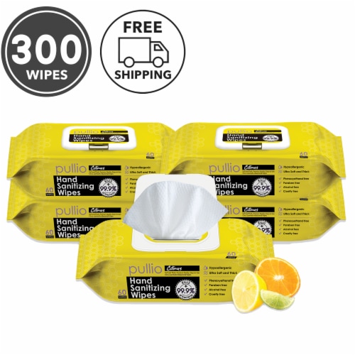 pullio - 5 Packs of Hand Sanitizer Citrus Wet Wipes 60ct -Antibacterial Hand  Wipes Perspective: front
