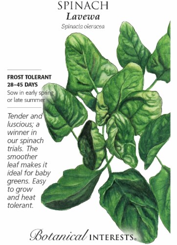 Botanical Interests Lavewa Spinach Seeds Perspective: front