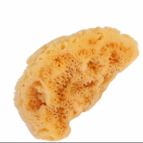 Bass Brushes Natural Sea Sponge Perspective: front