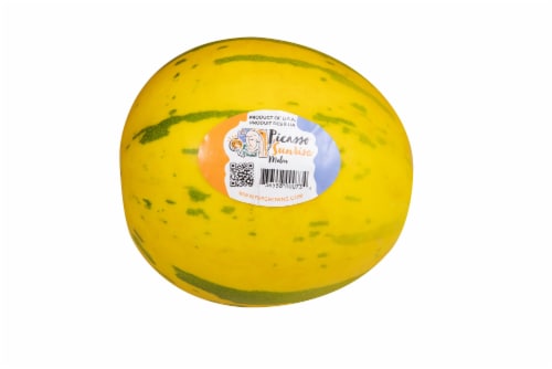 Majesty Picasso Sunrise Melon Perspective: front